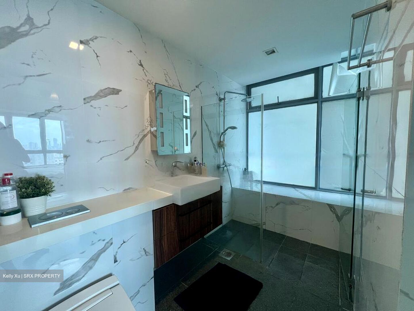 Pavilion 11 (D11), Condominium #472933411